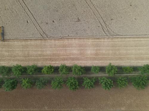 DJI_3629.JPG